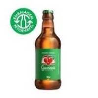 Refrigerante Guaraná Antarctica 300ml Retornável